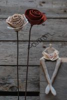 Rosa Roser Oter 2