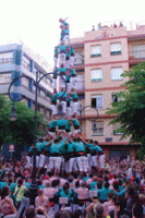4d9-carregat-verds