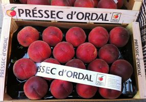 El Pressec Ordal