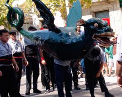 Drac de Vilafranca web